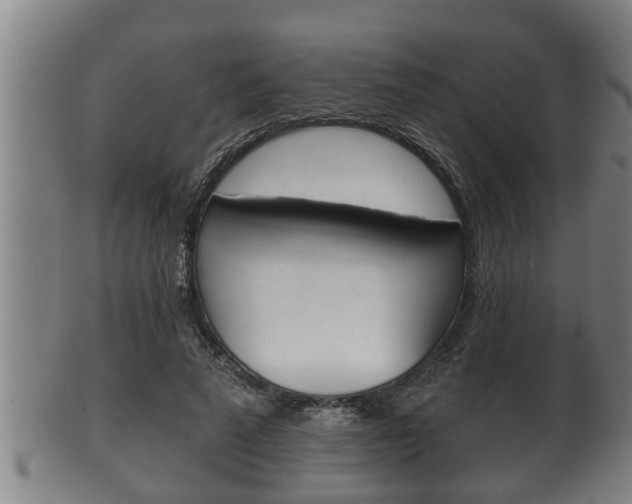 X0000100370689200806060802