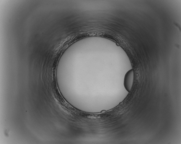 X0000100370690200806060802