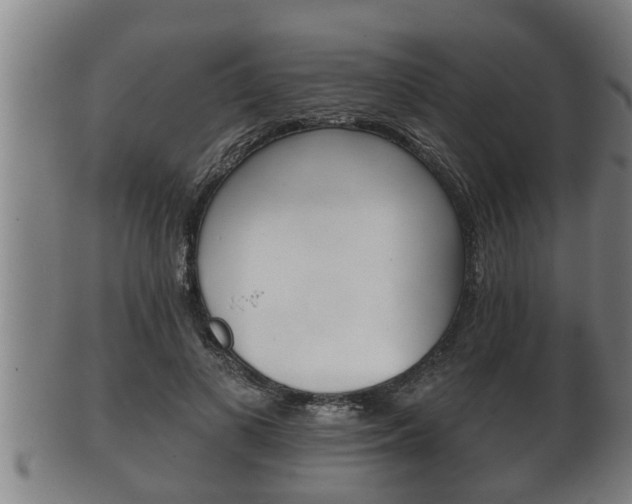 X0000100370693200806060802