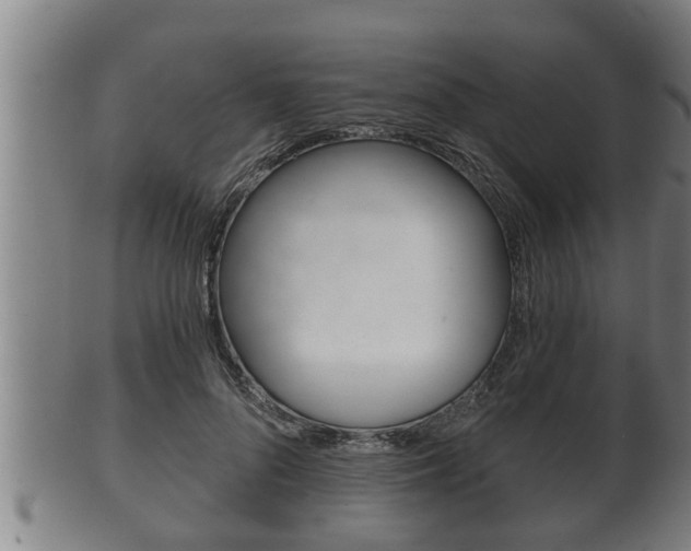 X0000100370696200806060802