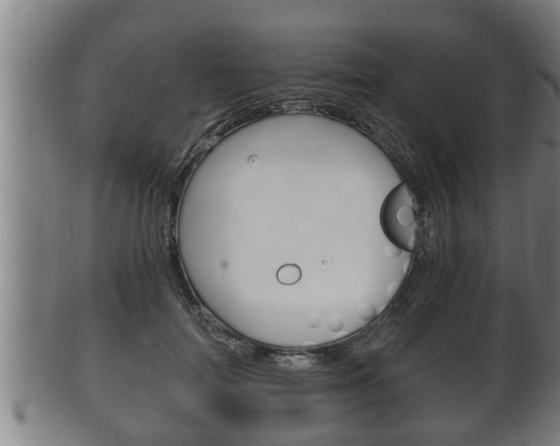 X0000100370698200806060802