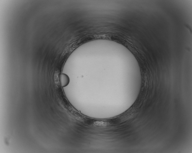 X0000100370699200806060802