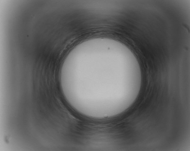 X0000100370701200806060802