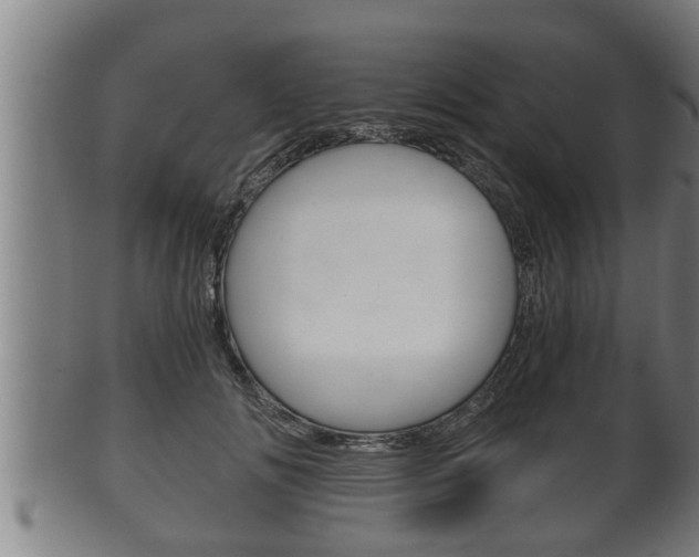 X0000100370702200806060802