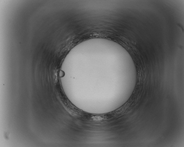 X0000100370703200806060802