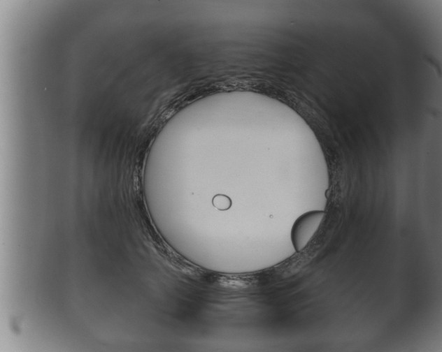 X0000100370706200806060802