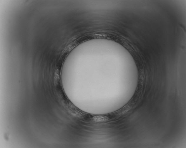 X0000100370707200806060802