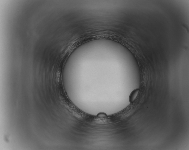 X0000100370708200806060802