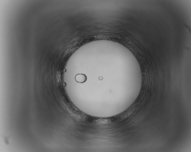 X0000100370711200806060802