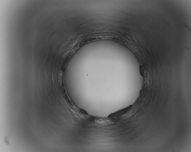X0000100370712200806060802
