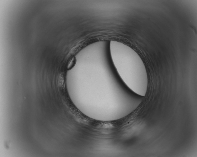 X0000100370715200806060802