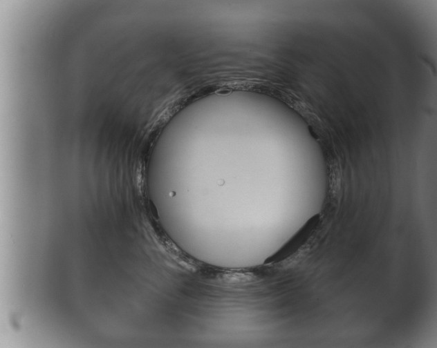 X0000100370716200806060802