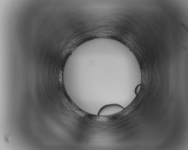 X0000100370718200806060802