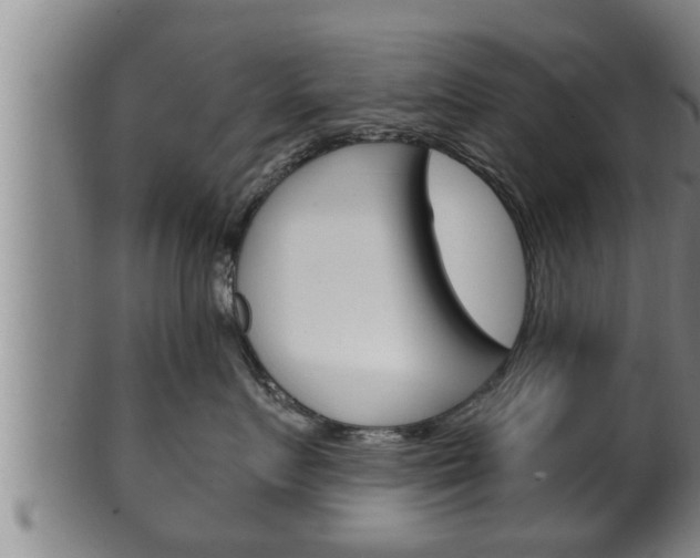X0000100370719200806060802