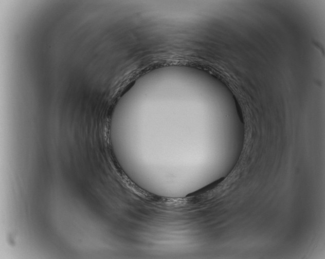 X0000100370720200806060802