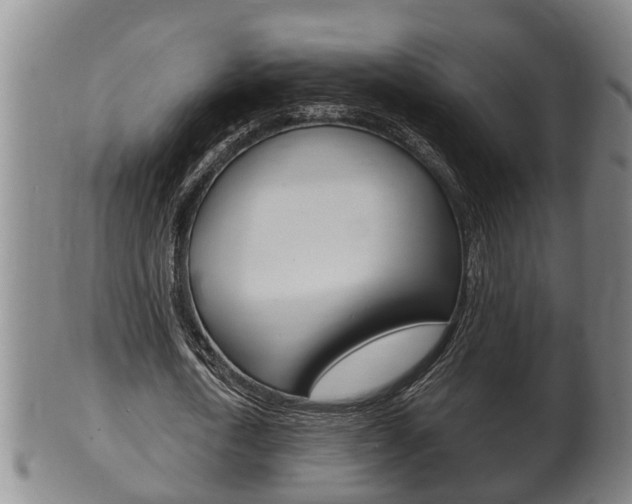 X0000100370722200806060801