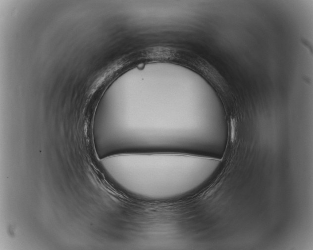 X0000100370723200806060801
