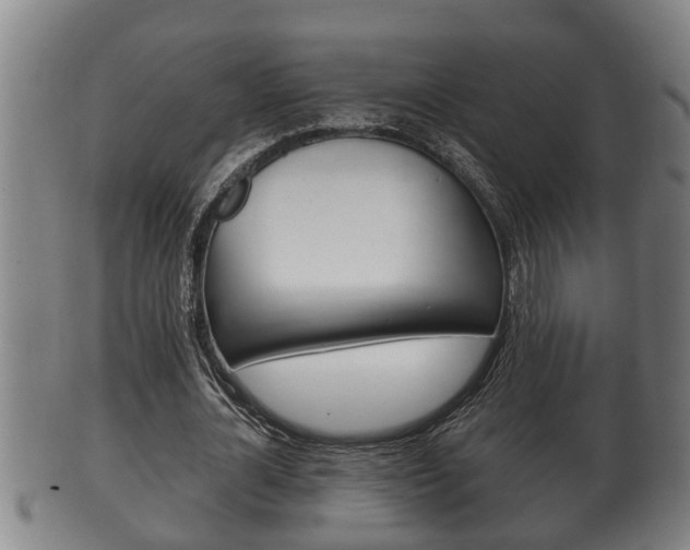 X0000100370724200806060801