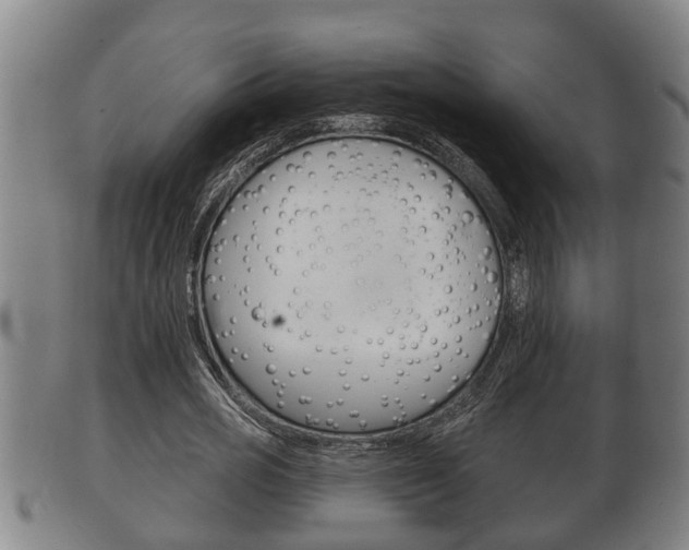 X0000100370725200806060801