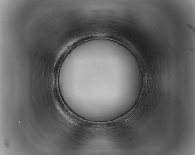 X0000100370726200806060801
