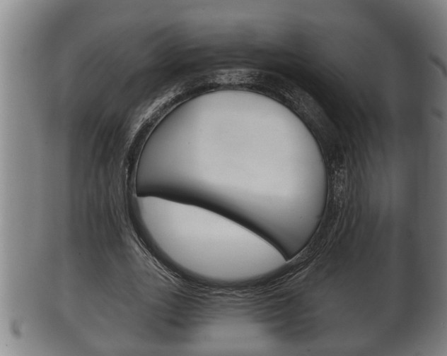 X0000100370727200806060801