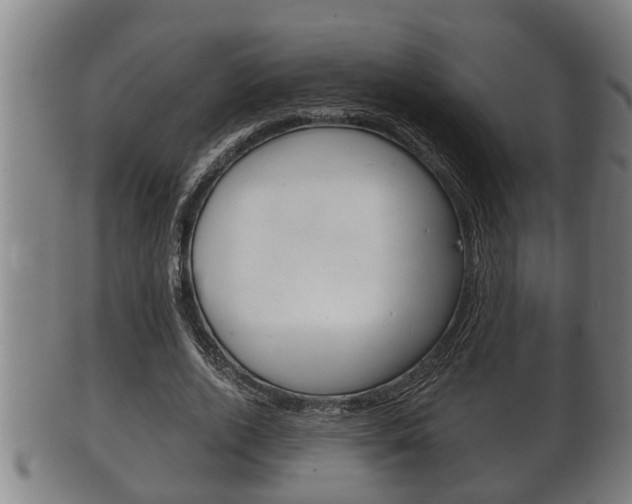 X0000100370728200806060801