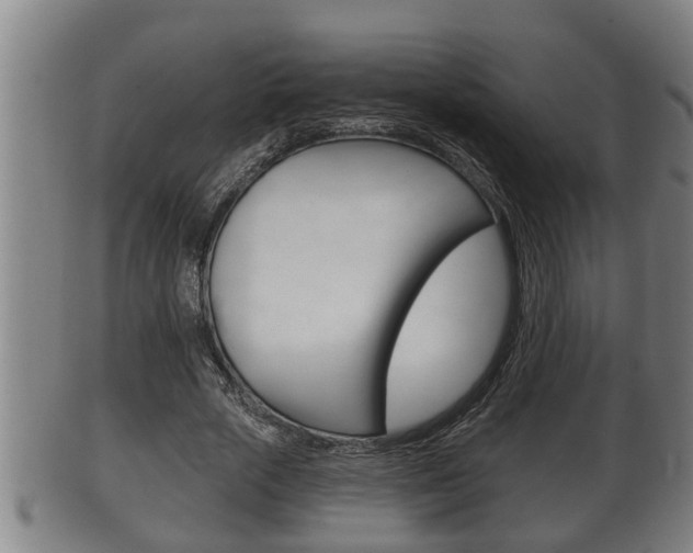 X0000100370729200806060801