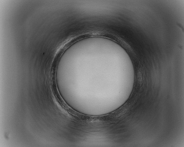 X0000100370730200806060801