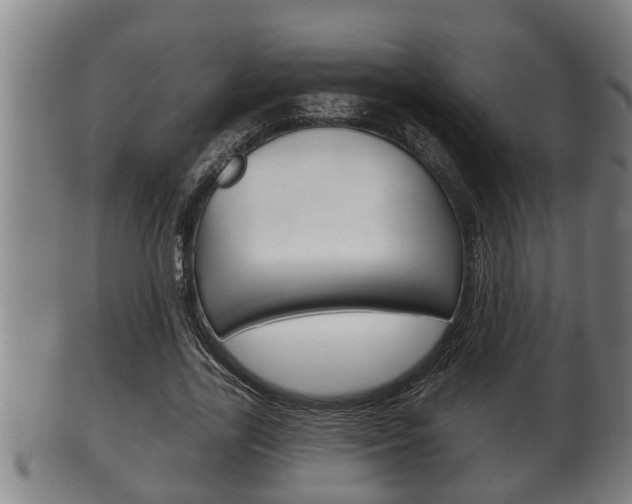 X0000100370731200806060801