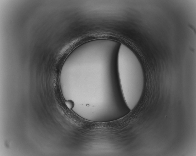 X0000100370732200806060801