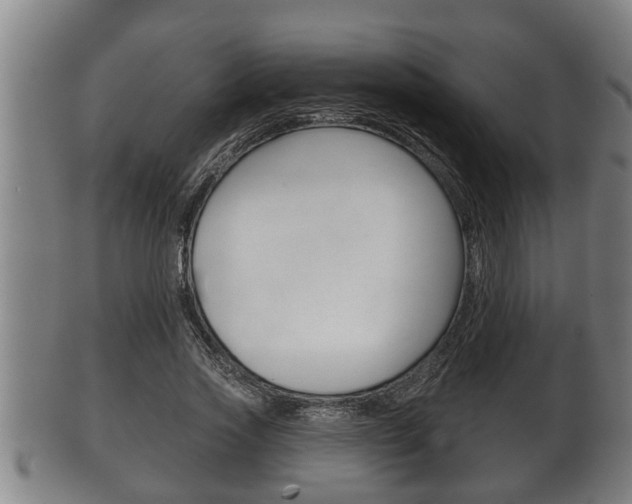 X0000100370733200806060801