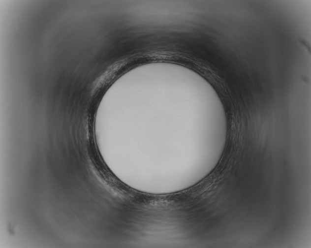 X0000100370734200806060801