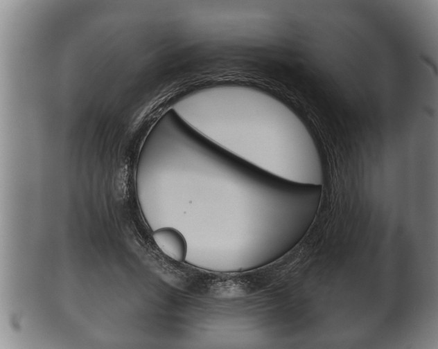 X0000100370735200806060801
