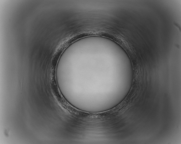 X0000100370736200806060801