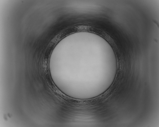 X0000100370737200806060801