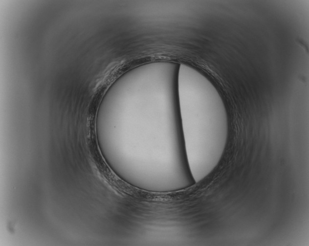 X0000100370738200806060801