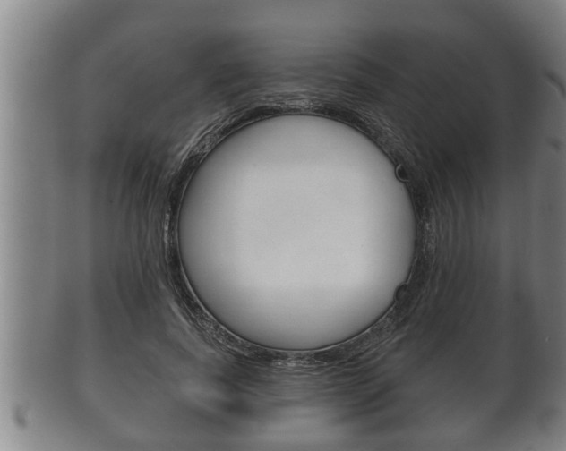 X0000100370739200806060801