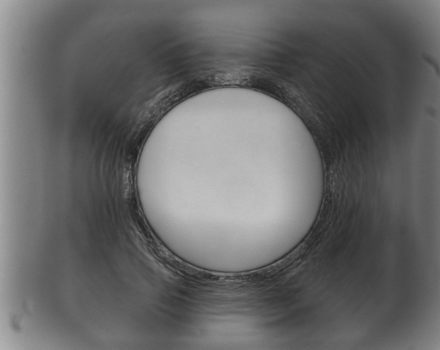X0000100370741200806060801