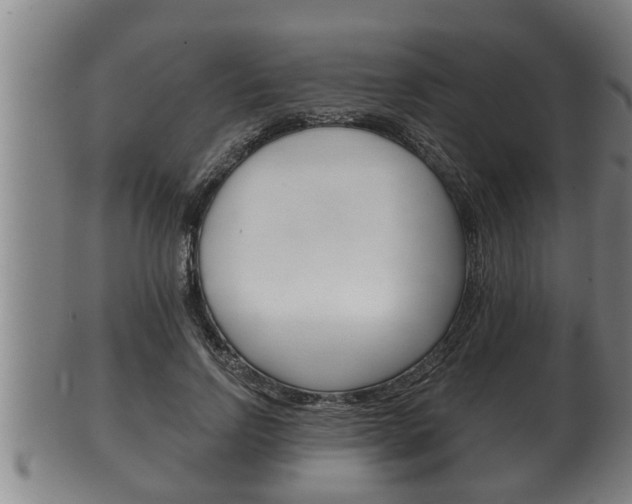 X0000100370742200806060801