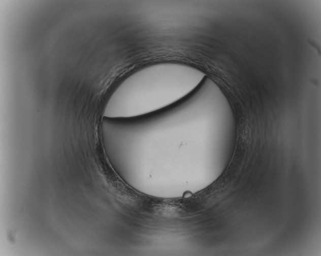 X0000100370743200806060801