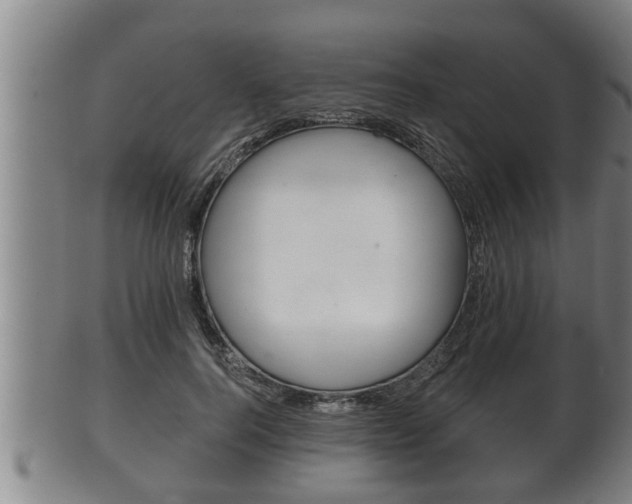 X0000100370744200806060801