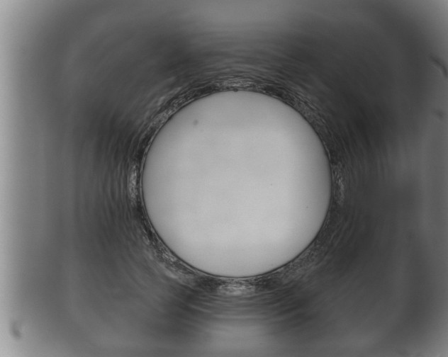 X0000100370745200806060802
