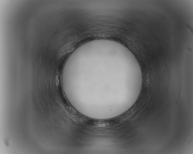 X0000100370746200806060802