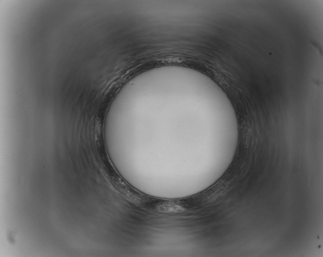X0000100370747200806060802