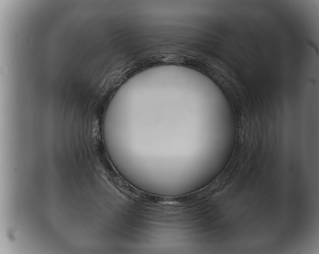 X0000100370748200806060802