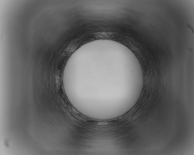 X0000100370749200806060802