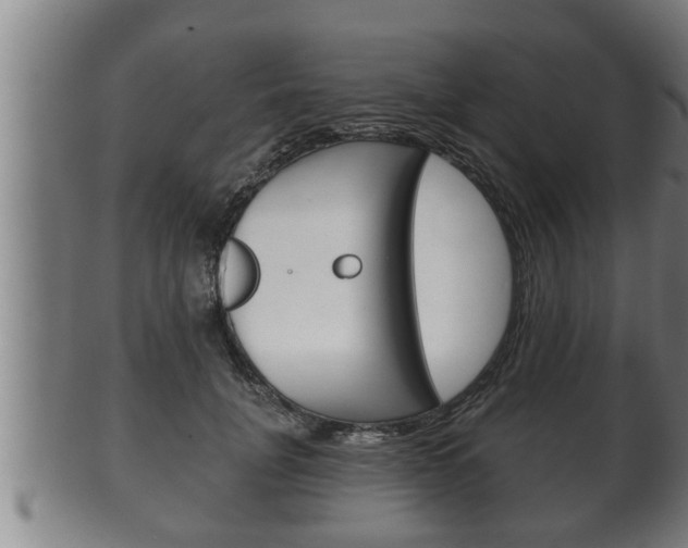X0000100370751200806060802