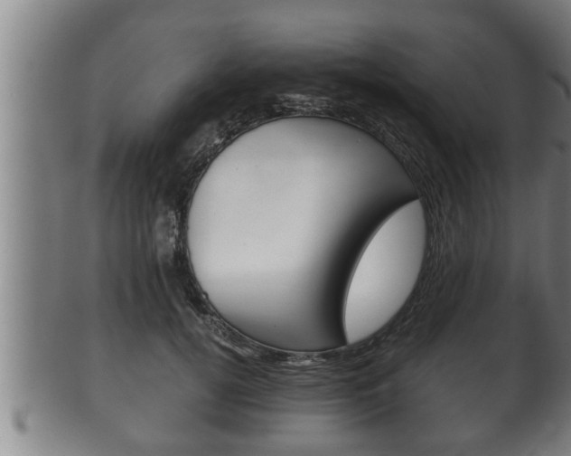 X0000100370752200806060802