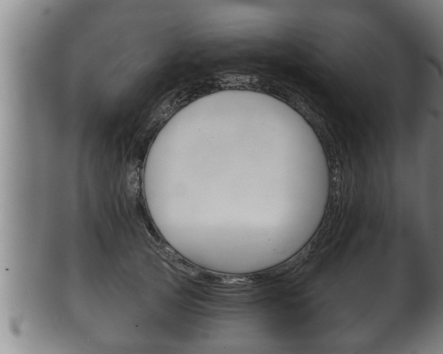 X0000100370753200806060802