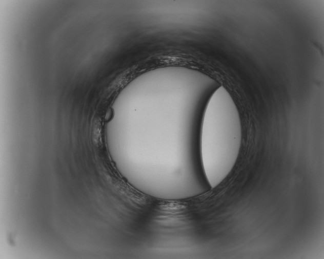 X0000100370754200806060802